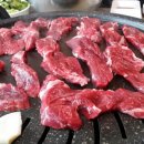 황소고집 이미지