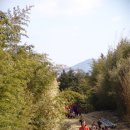 푸른꿈어린이집 이미지