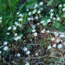 산들농원 이미지