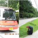 피나무골 소공원 이미지