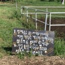 말무리목장 이미지