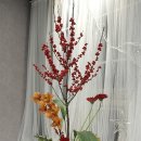 플로리스트자격 이미지