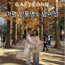 관악구 자전거 대여센터 | 가평 단풍명소 가볼만한 곳 남이섬 메타세콰이어길 커플자전거 대여 주차 정보