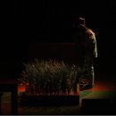 행정용 47 | 제47회 서울연극제 연극 <사소한 것들> 후기 리뷰