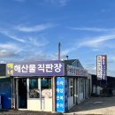 안녕동복자리편의점 | 제주 해녀촌 추천 오션뷰 뷰맛집 구좌 동복해녀직판장 내돈내산