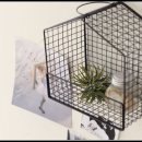 봉명주공2단지A 이미지