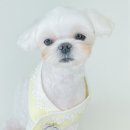 산호동457 이미지