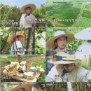 일로만난사이