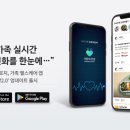 디케이라이프