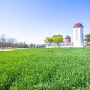 삼풍농장 이미지