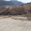 부자365부동산공인중개사사무소 이미지