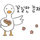 세종 권약국 이미지