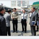 금산수삼 이미지
