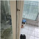 신속클린