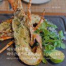 그램샐러드(GRAM SALAD) | 베트남 나트랑 래디슨블루리조트 맛집 블루 랍스터 방문후기