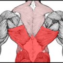 와이키키짐 이미지