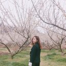 지에스25광양매화 이미지