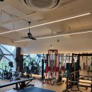 더컨디셔닝 광장점 이미지