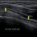 마디의원, 편한한의원 이미지