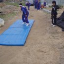 대오체육관 이미지