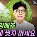 베이킹소다 식초 아닙니다. 양배추 이렇게 씻어야 농약이 사라집니다. 이미지