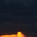 삼정리224 이미지