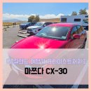 크라이스트처치] 에이스 렌터카 CX-30 - #여행 4일차...처치 에이스 렌터카 마쯔다 CX 30 솔직 리뷰 후기
