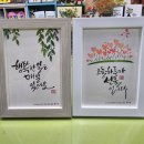 수채캘리그라피 Daum카페