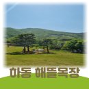 와가목장 | 해뜰목장 예약정보 및 솔직후기 /하동 가볼만한곳 추천
