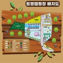 4계절 이용 가능한 온수수영장이 있는 경기 북부 키즈캠핑장 트멍캠핑장 1박 후기