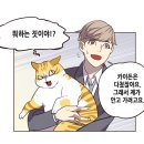 일렉시드