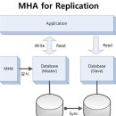275-1-000001 | [DB] MariaDB 이중화 (Replication + MHA)