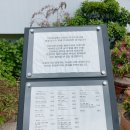 양지펜션 | 거제 레스토랑 명란 파스타가 맛있는 키친루셀로