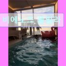 비에노즈 | 제주도 여행 숙소 추천 비에노즈 풀빌라 비에노즈 풀빌라, 제주도에서의 완벽한 휴식
