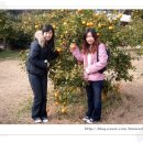 세희농장 이미지