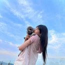 나나의 하루 이미지