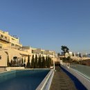 스테이가인 이미지