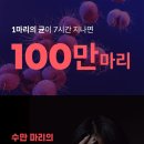 청춘세탁 이미지