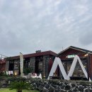 그초록 | [월정리 카페] 제주 여행 아보카도 컨셉 카페 그초록 내돈내산 방문후기