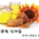 정현2주유소 이미지