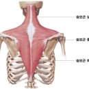 상봉로 134 (1) 이미지