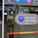 Artic Hair (아틱헤어) | 5月 - 서울 여행 1