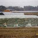 이레 양계장 이미지