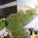 남해유배문학관 이미지