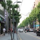 압구정로12길(가로수길) 이미지