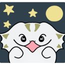 흥정계곡 캠핑700 이미지