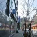 동강물고기매운탕 - 금천구 | 동강물고기매운탕