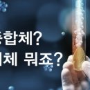 (주)하임