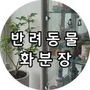 [일상] 소중한 울똘 2주기, 플로정아 반려동물 화분장 후기