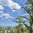 한마음어린이집 이미지